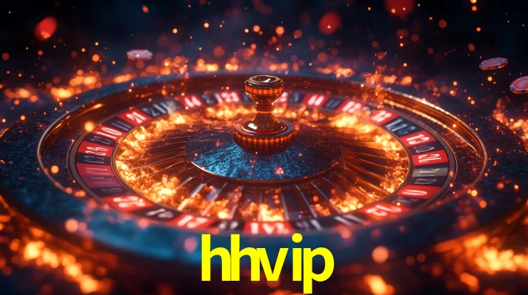 hhvip App Interface